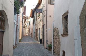 L' Atelier Velly - Photo 10