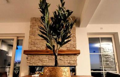 Villa Andolini - Foto 67