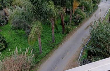 bandiera blu - Foto 13