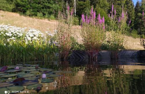 Forsthaus Trabronn | Sauna | eingezäunt | Grillplatz - Photo 52