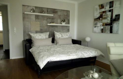 Appartment Fasanenhof Klinikum und Uni nah mit Netflix - Foto 10