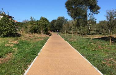 Beach and Mountain Paradise - Foto 31