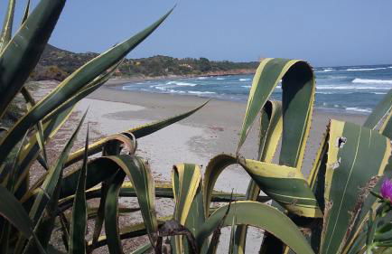 La casetta celeste - Foto 19