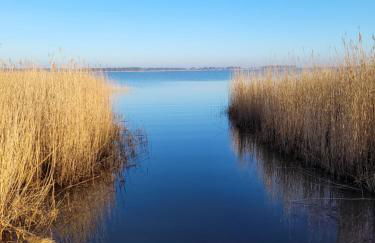 Urlaub unterm Reetdach auf dem Darß - Foto 14