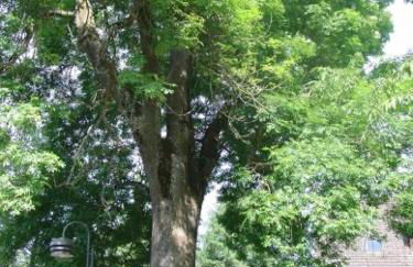 Ferienwohnungen Seeblick - Foto 13