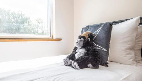 5 Toller Close, Orford - Foto 2