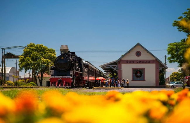 Tren Maria Fumaça + Visita a la Vinícola Aurora - Foto 4