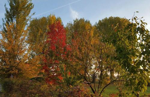 B&B i Casali - Foto 17