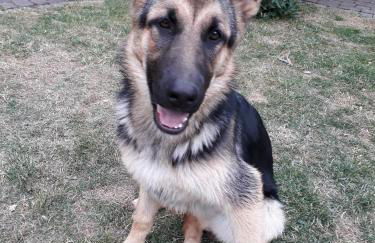 Ferienwohnungen Bunge - Foto 23