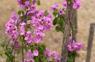 Grano Arso Appartamento Turistico - Foto 50