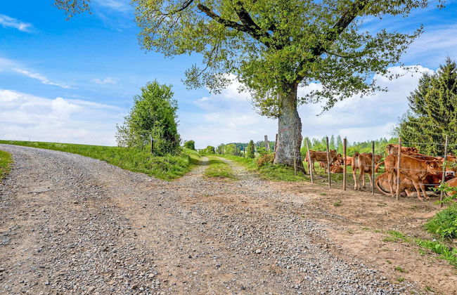 Nature Retreat for Families - Photo 33