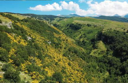 Il Canto degli Uccelli - Foto 41