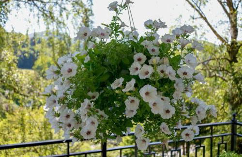 Residence Siedlinghausen - Foto 13