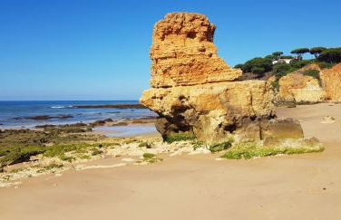 Casa da Praia - Foto 50