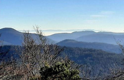 Rausblick Cabin - Foto 22