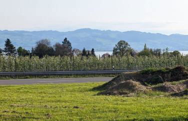 Kinderlachen - Foto 17