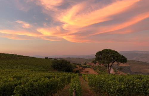 Quinta dos Espinheiros - Foto 7