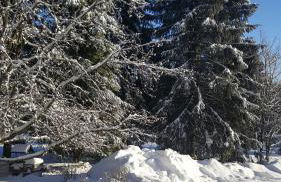 Wanderhütte Zum Glückstal - Foto 36