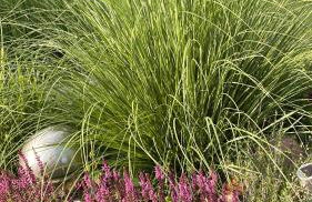 Lieblingsplatz Lissberg - Photo 12