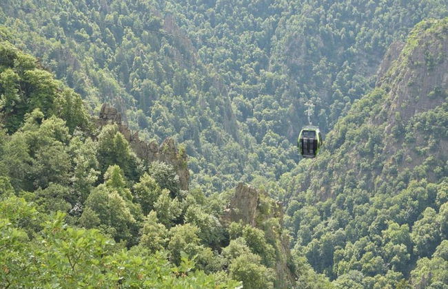 Fenced Garden, Friedrichsbrunn - Photo 41