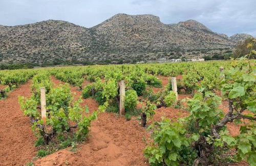 Grey House - Foto 84