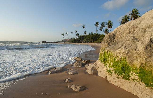 Chocolate com Pimenta Edifício - Photo 48