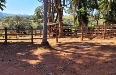 Exclusivo Haras Marilu! - Foto 45