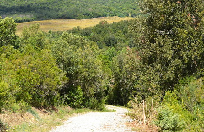 Le Moraiole Country House - Foto 40