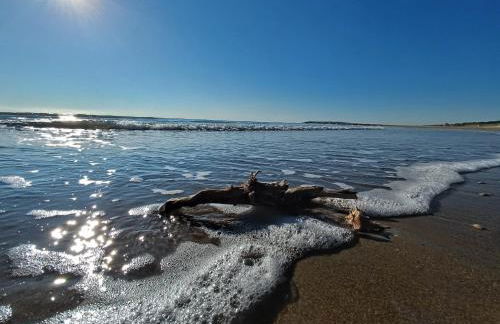 Ca' Savio terramare - Foto 43