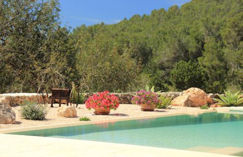 Casa Vilda - Photo 6
