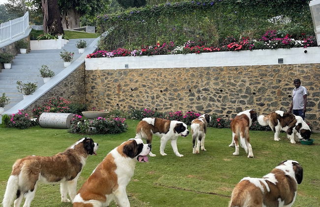 Benito Bungalow by The Serendipity Collection - Photo 17