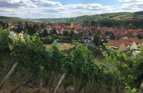 Ferienwohnung Weinbergsblick optimale Stadtnähe - Foto 28