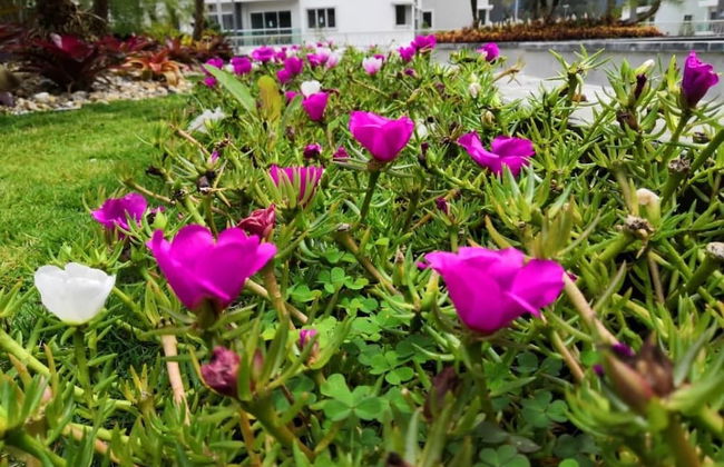 Ethel Cozy Suite - Foto 20