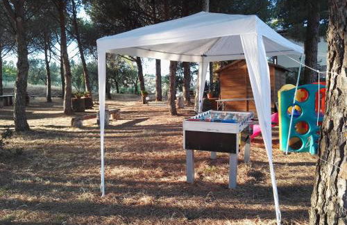 Dolce Vita - Foto 63