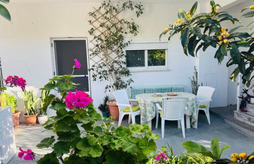 Lemon tree's house - Foto 31