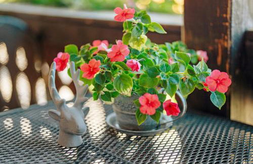 Schwarzwald Buchenhof - Foto 80