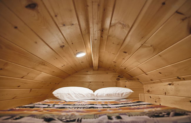 Parc Omega - Foto 34