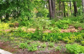 Maison de charme à Arbonne-la-Forêt avec terrasse-jardin verdoyant - Foto 10