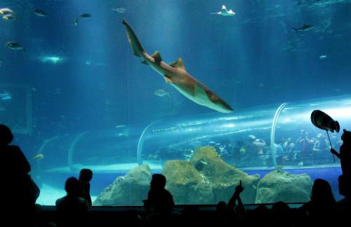 Temporada Rio Studio Lily 2 - Perto do Cristo e de Copacabana - Photo 66