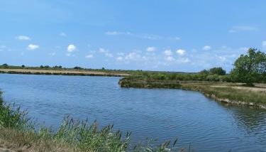 Joli Appartement Audenge - Foto 5