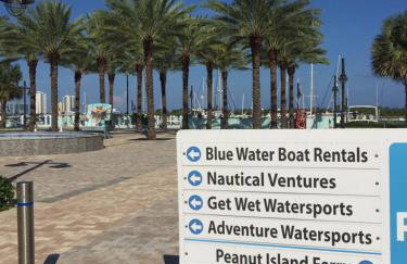 Palm Beach Mermaid - Foto 38