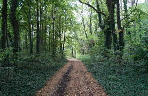 Ferienwohnung Rehagen Süd - Photo 11