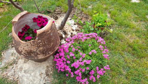 Casa Blanca - Photo 5