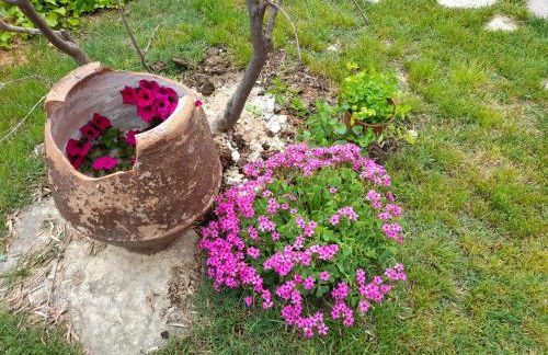 Casa Blanca - Photo 5