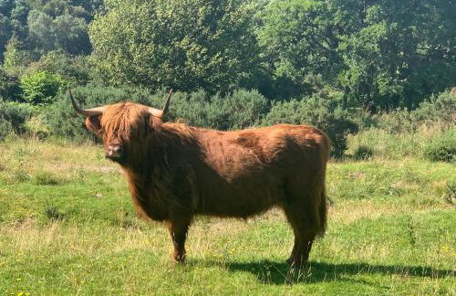 Wild Nurture Eco Luxury Offgrid Log Cabin - Foto 52