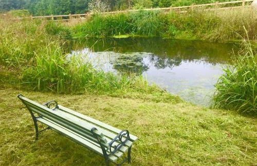 Wild Coastal Retreat at Troed Y Rhiw Aberporth, West Wales - Foto 31