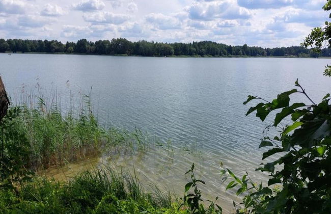 Holiday Home in Gluszyn With Private Pool - Foto 35