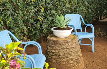 Villa Arbocers - Foto 35