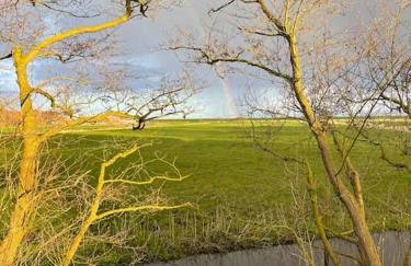 Ferienhaus Butjadingen - Haus Ruhwarden - Foto 6