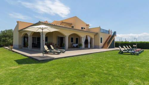 Mussol - Foto 5, Other